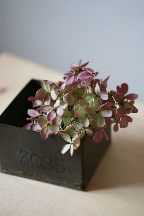 やさしい時間 diary*