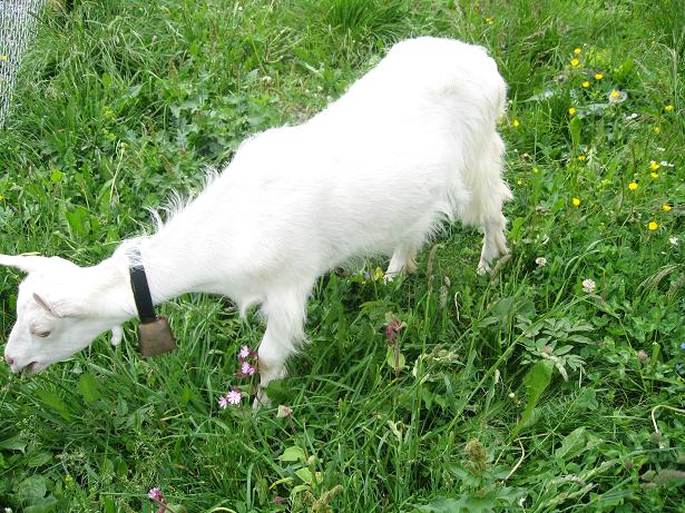 花粉症から解放 スリランカ暮らし
