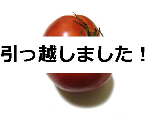 カード別使用感 Wynn Deck Red&Blue(Purple) : あすぱら 跡地