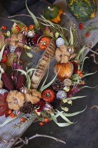 Emofの花のある生活