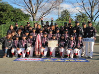 Yokosuka Wins Yokosuka Wins