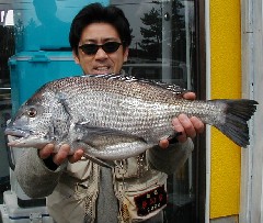 新潟発 キジハタ メバル釣り
