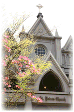 南蔵王 聖ペトロ教会のプランナーブログ