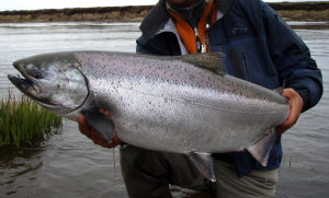 Capris SUPER DRIFT 　パワースペイ　8'6\" #5-6 CAPRAS Super Drift Power-Spey 8'6