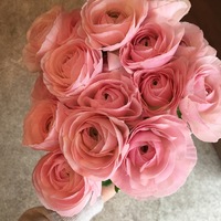 はなのね はなのね