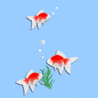 1日限定セレブ 金魚姫徒然日記 1日限定セレブ 金魚姫徒然日記