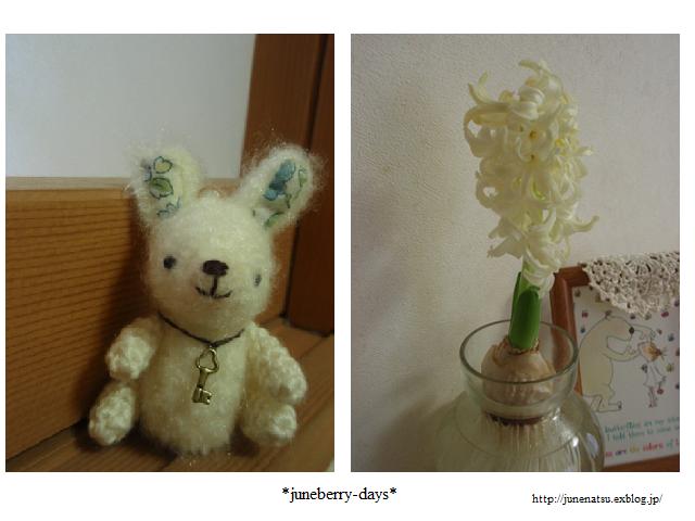 シロツメクサ のドライフラワー Juneberry Days シロツメクサ のドライフラワー Juneberry Days