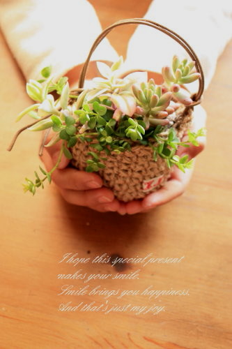 永久保存版 押し花の作り方 乾燥マット編 A Piece Of Dream 植物とdiyと