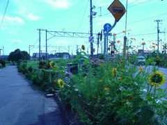 小便はすませたか 神様にお祈りは 部屋の隅でガタガタふるえて命乞い