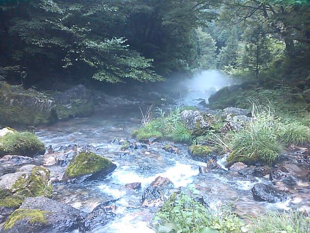 田舎結 通信 岐阜県山県市美山からのたより