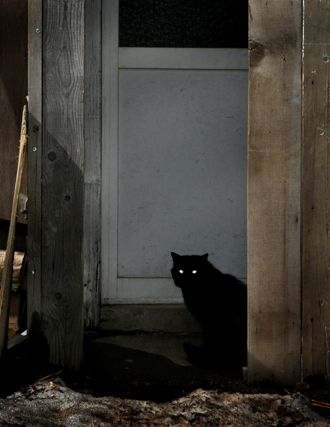 ジャズ喫茶ジャマイカ 札幌狸小路5 写遊人