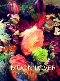 Moon Lover Flowers Moon Lover Flowers
