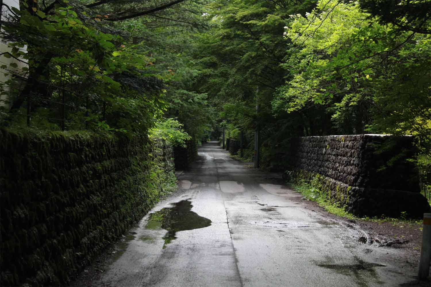 舞台探訪 聖地巡礼 のんのんびよりコミックス2巻帯 知和駅 Acqua Alta 舞台探訪 聖地巡礼 のんのんびよりコミックス2巻帯 知和駅 Acqua Alta