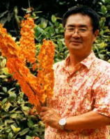 バンダ栽培のプロが教えるバンダ 一般洋蘭の夏場の管理の仕方 年中開花するバンダ属の特価ネット通販 タイ洋蘭ブログ 洋蘭バンダ ネット通販 タイオーキッドファーム直販 日本人経営 バンダ栽培のプロが教えるバンダ 一般洋蘭の夏場の管理の仕方 年中開花するバンダ属の特価ネット通販 タイ洋蘭ブログ 洋蘭バンダ ネット通販 タイオーキッドファーム直販 日本人経営