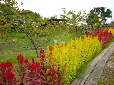 加唐島 民宿ゆうすげ へ テルのデジカメ日記 加唐島 民宿ゆうすげ へ テルのデジカメ日記