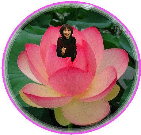 山の花 庭の花 山の花 庭の花