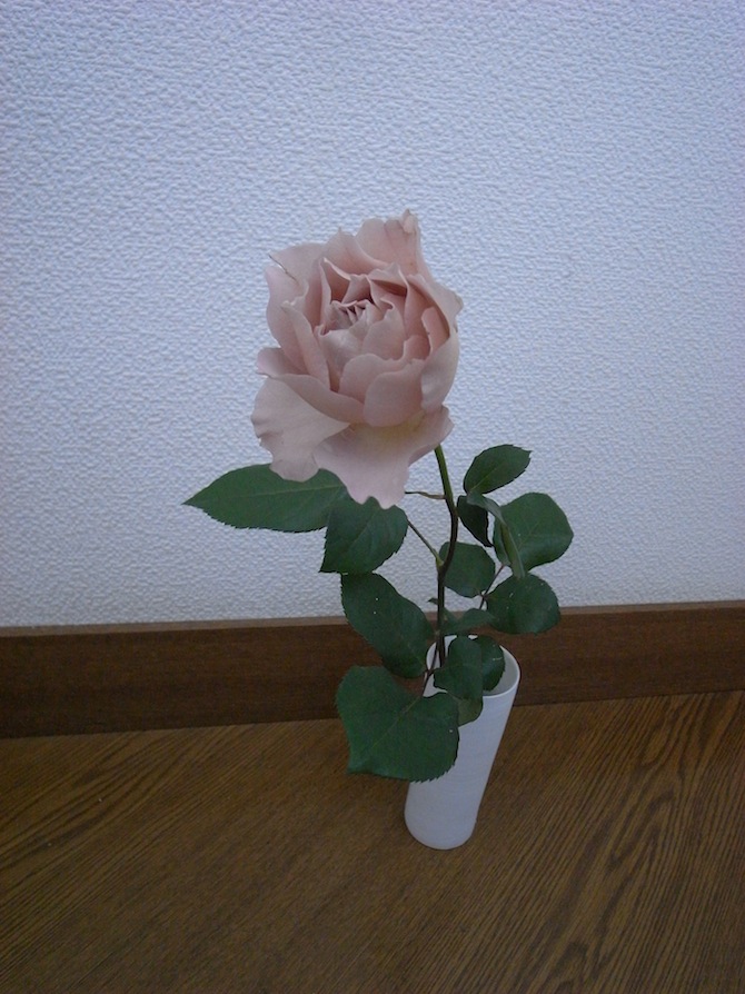 松本の三谷龍二さんのお店【10cm(10センチ）】へ行ってきました