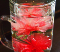 水中花 復活プロジェクト