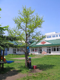 光のあーと スクリーンで影絵遊び 北見幼稚園パパママ園日記