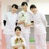 中央動物看護専門学校について Can中央動物看護専門学校 教師ブログ 中央動物看護専門学校について Can中央動物看護専門学校 教師ブログ