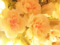 Blcd おやすみなさい また明日 を聴いて Four Months And A Day Blcd おやすみなさい また明日 を聴いて Four Months And A Day