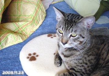 a0001964_92758.jpg