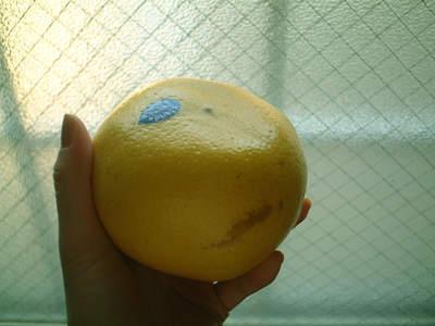 a0003398_11155.jpg
