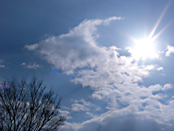 a0003238_15585.jpg