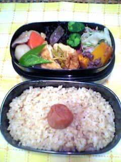 ３月１日のお弁当_a0004863_232349.jpg