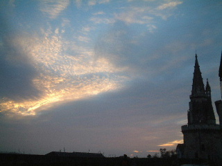 a0008105_9110.jpg