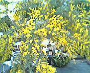a0000202_223928.jpg