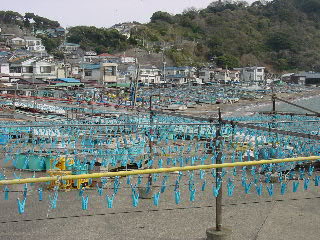 a0003150_21265.jpg