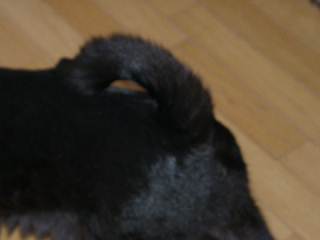 a0009747_73111.jpg