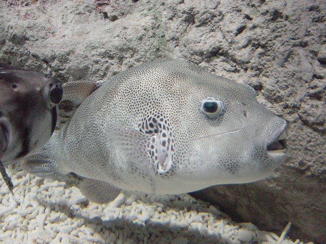 a0011310_12934.jpg