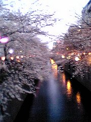 a0002273_21584.jpg