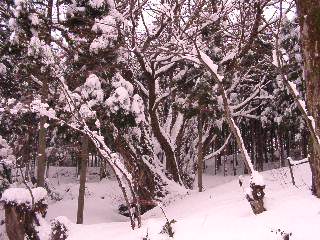 a0009747_21483.jpg