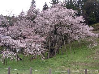 a0009747_20420.jpg