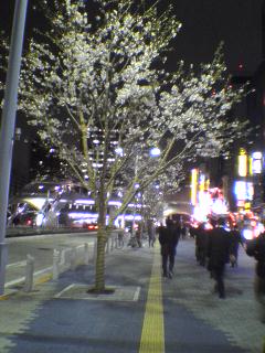 a0002261_04226.jpg