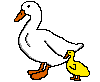 a0012531_14923.gif
