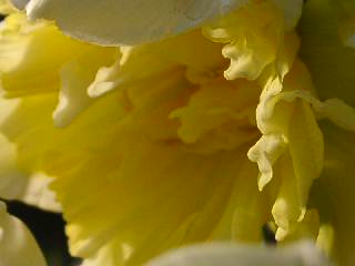 a0009747_61241.jpg