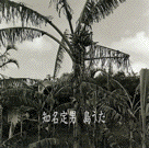 a0000682_23523.gif