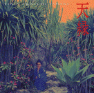 a0000682_24551.gif