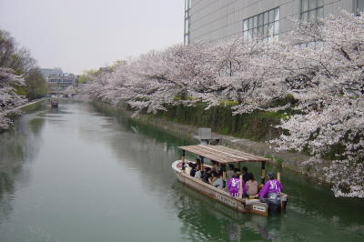 a0003032_225322.jpg