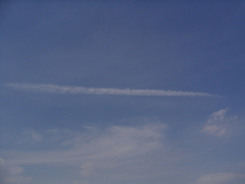 a0013134_14129.jpg