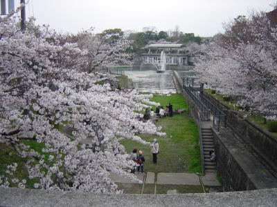 a0003032_01650.jpg