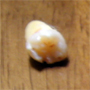 a0013134_12221.jpg