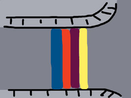 a0004555_21949.jpg