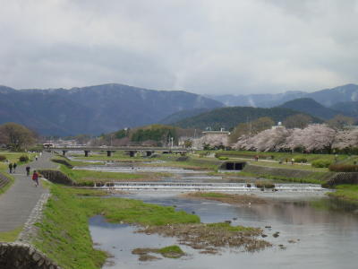 a0003032_0534.jpg