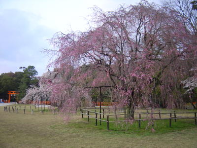 a0003032_21646.jpg