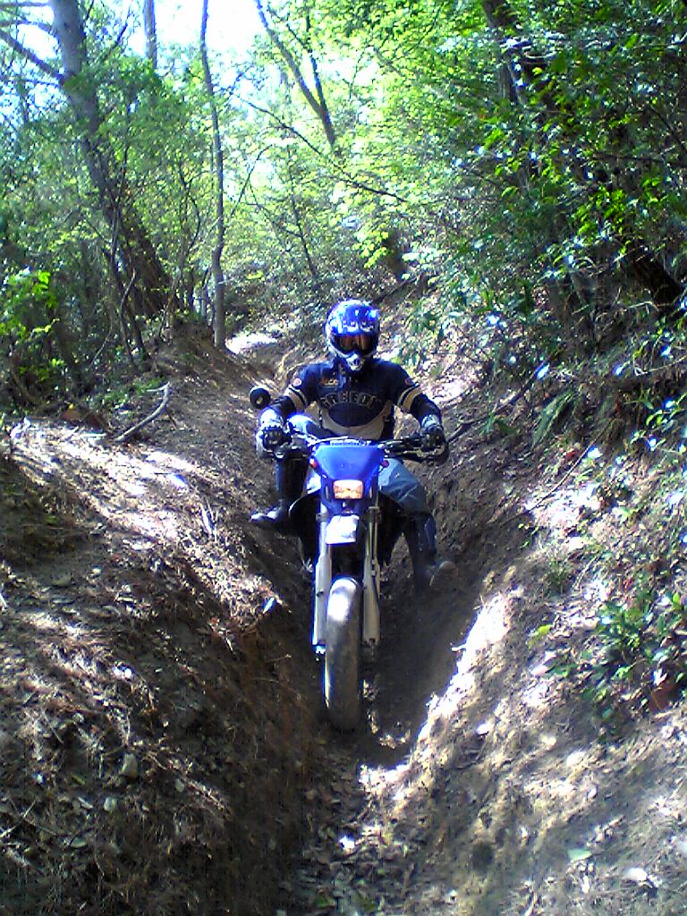 a0009624_95624.jpg
